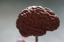 5 Warning Signs Of Brain Tumour In Youngsters