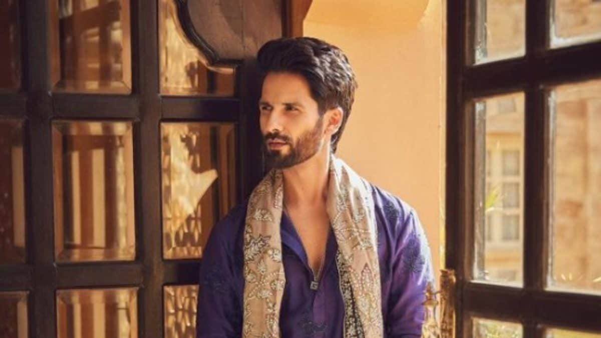 Shahid prefers to transform himself into different characters, being conscious of his looks.