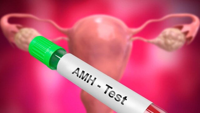 What Is AMH hormone? How Can It Play An Important Role In Reproductive ...