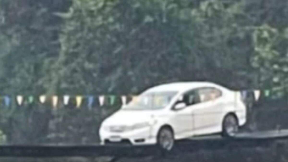 Thai Woman, Following GPS 'Blindly', Gets Stuck on a Walking Bridge in Hilarious Blunder - Vimarsana News