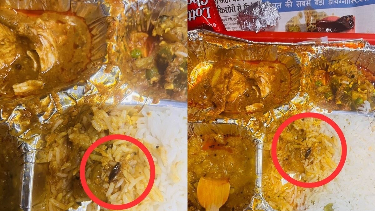 MP Man Gets Dead Cockroach in Food Ordered on Vande Bharat Express, IRCTC Promises Action - Vimarsana News