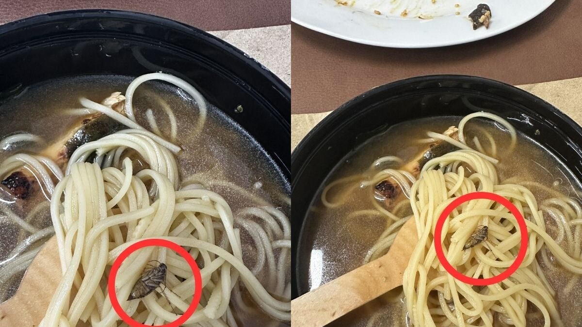 Tripura Woman Finds Dead Cockroach in Her Ramen Bowl Ordered from Zomato, Company Responds - Vimarsana News