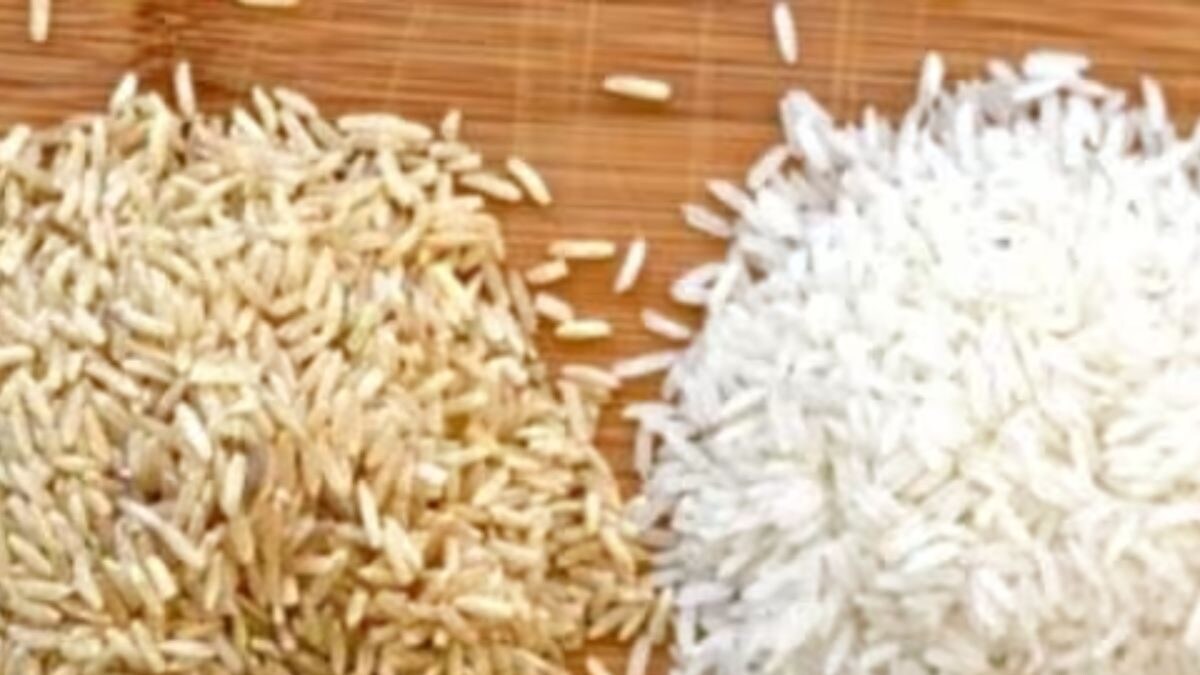 Should You Eat Polished Or Unpolished Rice Daily? Know What Expert Says