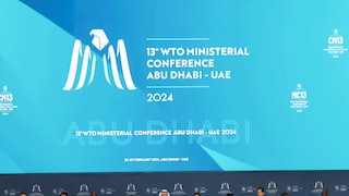 At WTO Meet, India Takes Firm Stand Against Thai Envoy's 'Offensive' Comments on Public Stockholding - Vimarsana News
