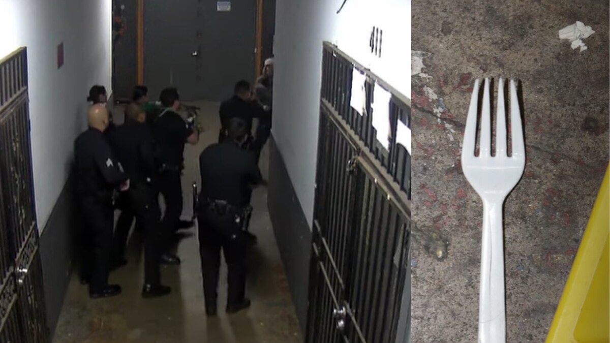 Caught On Camera | US Police In Los Angeles Shoot and Kill Man Holding a Plastic Fork - Vimarsana News