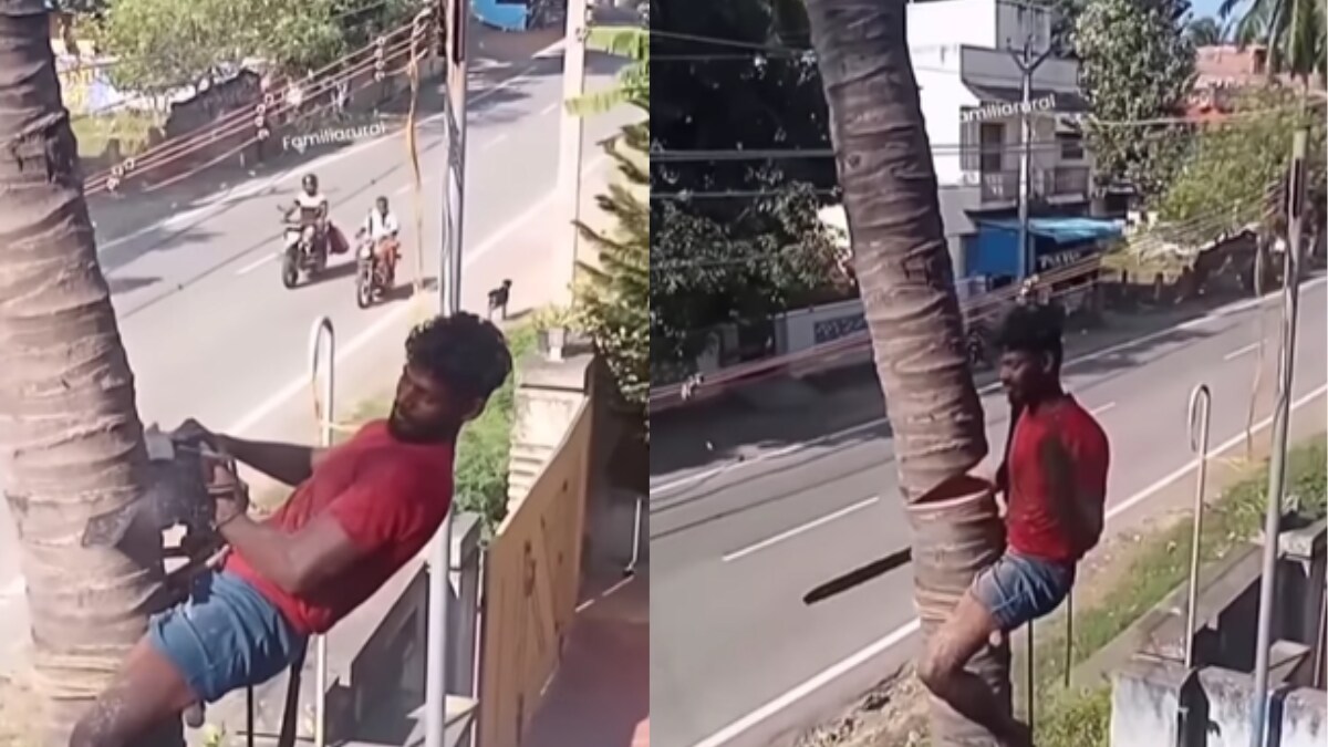 'Experience Always Greater Than PhD': Internet Lauds Man Who Chopped Tree In One Go - Vimarsana News