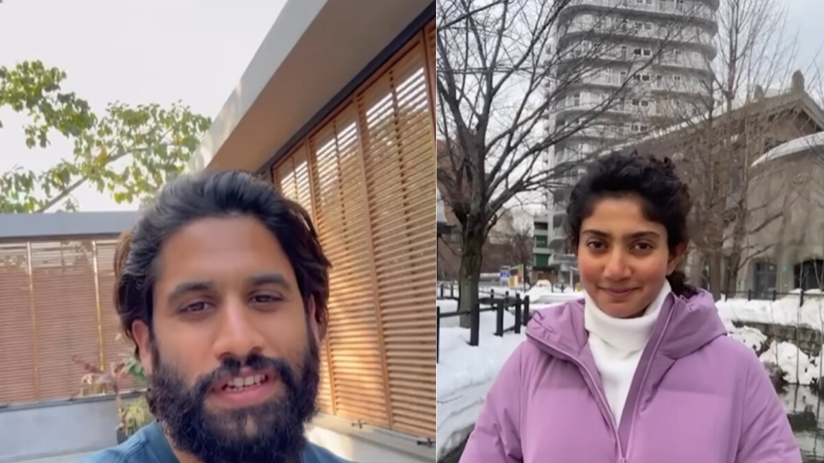 Thandel's Naga Chaitanya And Sai Pallavi Wish Fans On Valentine's Day In Unique Style - Vimarsana News
