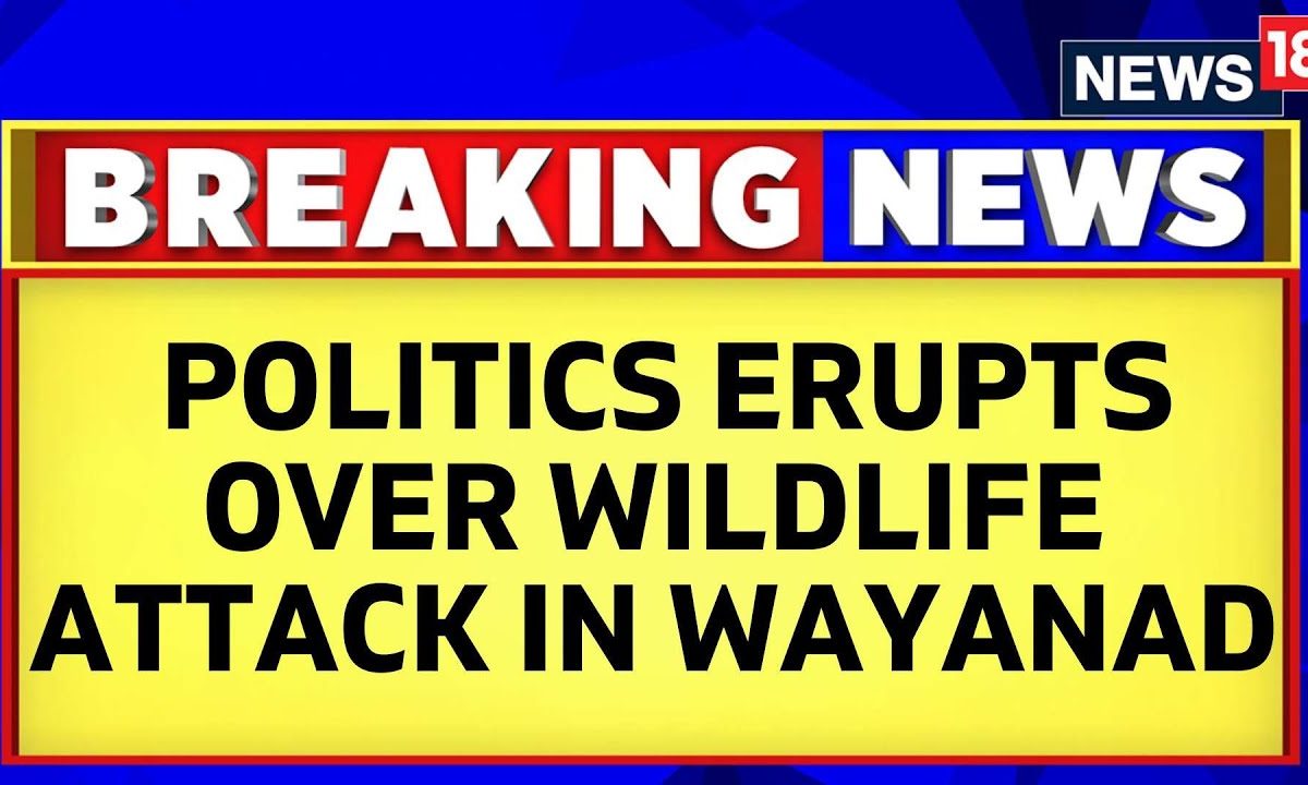 Kerala News | Wildlife Attack In Wayanad Yet Again, Elephant Tramples Woman To Death | News18