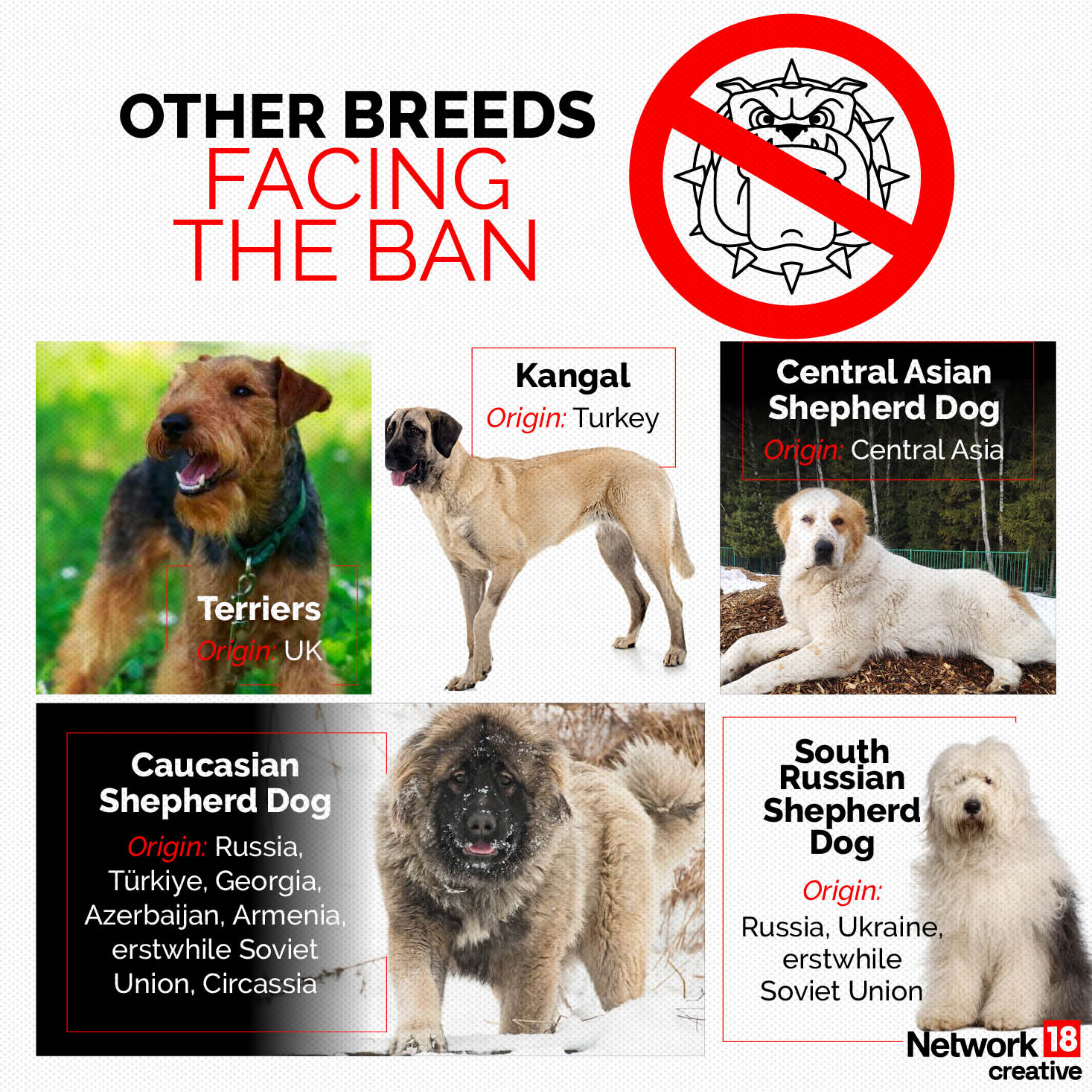 Ban 23 Ferocious Dog Breeds: Centre's Directive to States Amid Pet