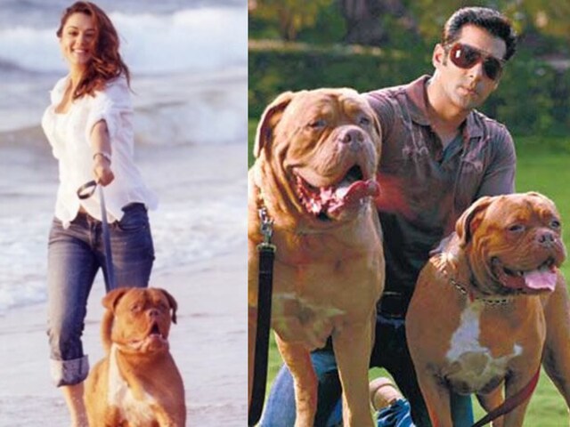 Preity Zinta Drops Photo With Salman Khan's Late Pet Dog Myjaan