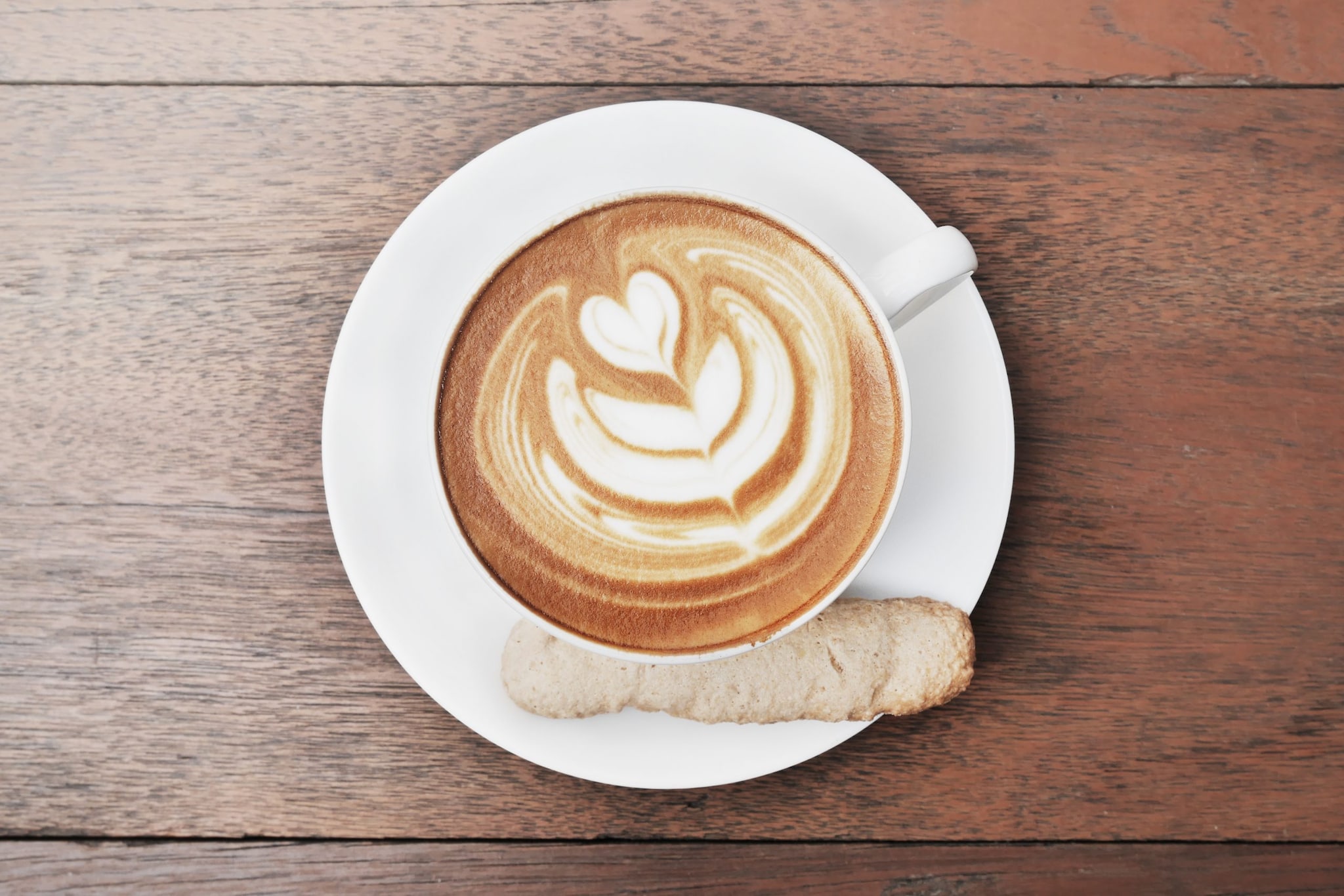 Google Celebrating the Flat White: Exploring the Delightful World of this Creamy Coffee Concoction
