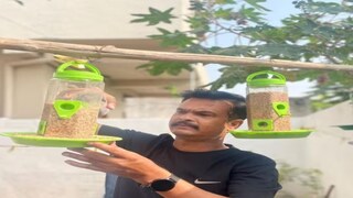 This Telangana Man Turned His House Into Special Habitat For Sparrows - Vimarsana News