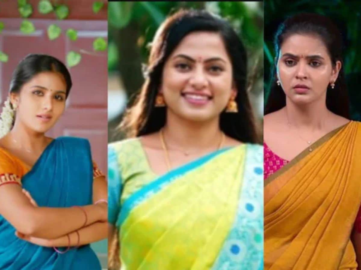 10 best saree looks of Ineya​