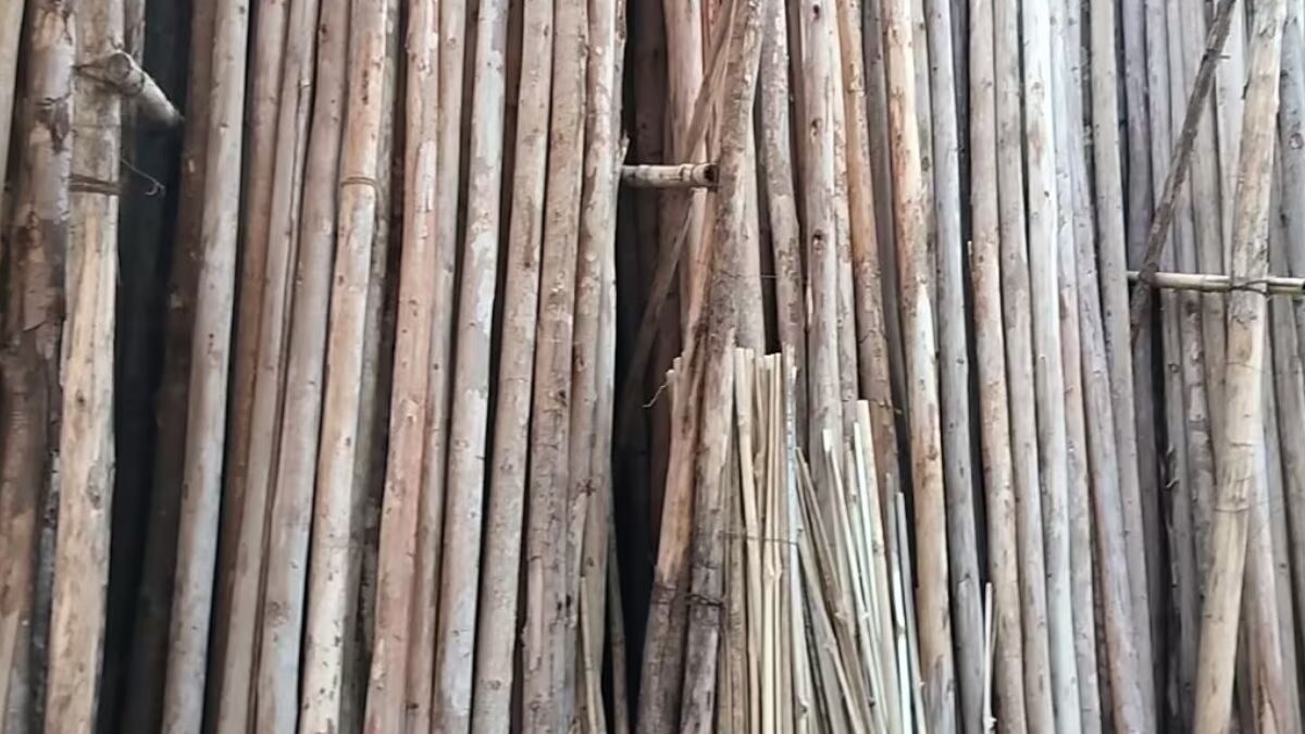 In Andhra Pradesh, Entrepreneur Makes Lakhs In A Year Through Nilgiri Bamboo Business sattaex.com