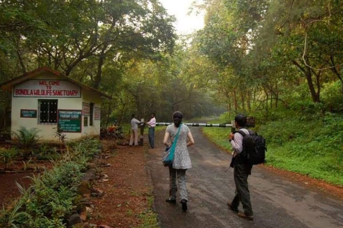 Move Over Beaches, These 5 Wildlife Sanctuaries In Goa Are A Must-see