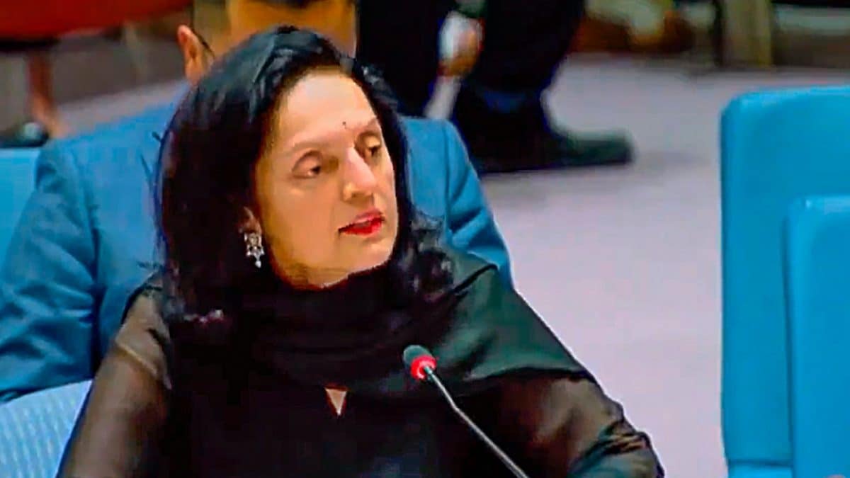 ‘Doublespeak’: In Message To China, India Questions UNSC Veto On Terrorist Listing