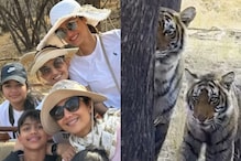 Shilpa Shetty Spots Tigers During Her Safari Trip To Ranthambore With Family; Watch Viral Video