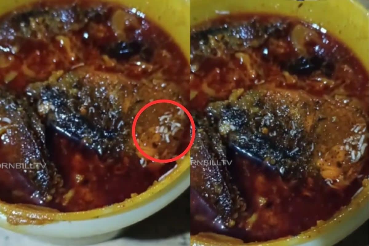 Nagaland Woman Finds Live Maggots in Fish Curry, Hotel Sealed After Video  Goes Viral - News18