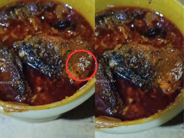 Nagaland Woman Finds Live Maggots in Fish Curry, Hotel Sealed