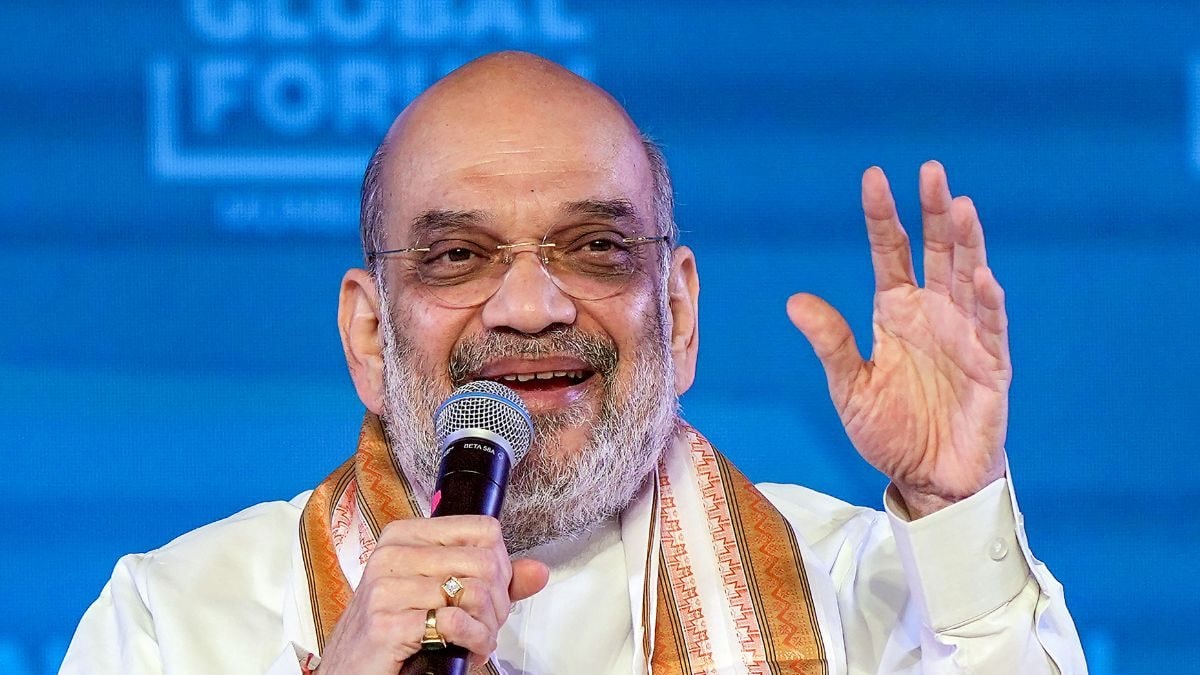 Bihar Govt Will Form Committee, Take Stringent Action Against Land Mafia: Amit Shah