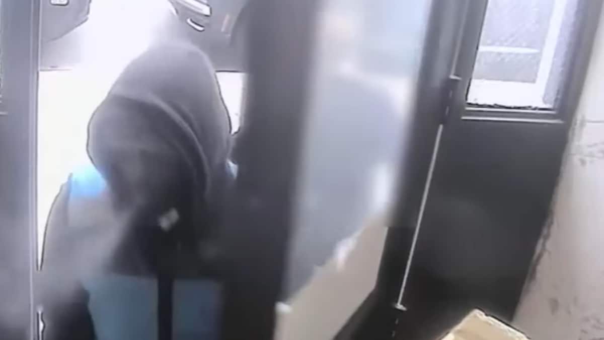 New York Burglar, Disguised As Amazon Worker, Steals Cash And Jewellery ...