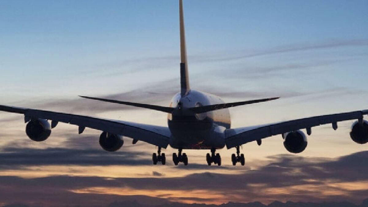 Airlines Refused To Compensate Singer After Breaking His Guitar, Read What He Did Next - Vimarsana News
