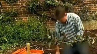 North Korea Censors British Gardening Show Host Alan Titchmarsh's Jeans - Vimarsana News