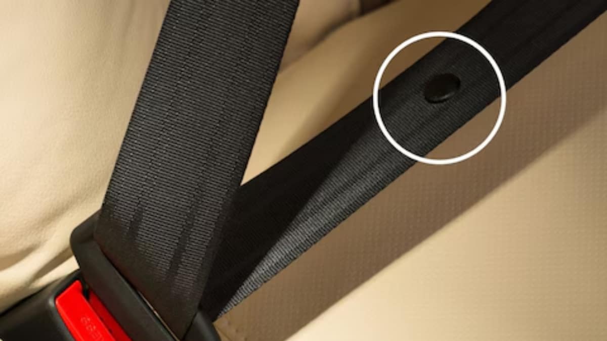 Ever Noticed A Small Button On A Car's Seat Belt? Here's Why It's There -  News18