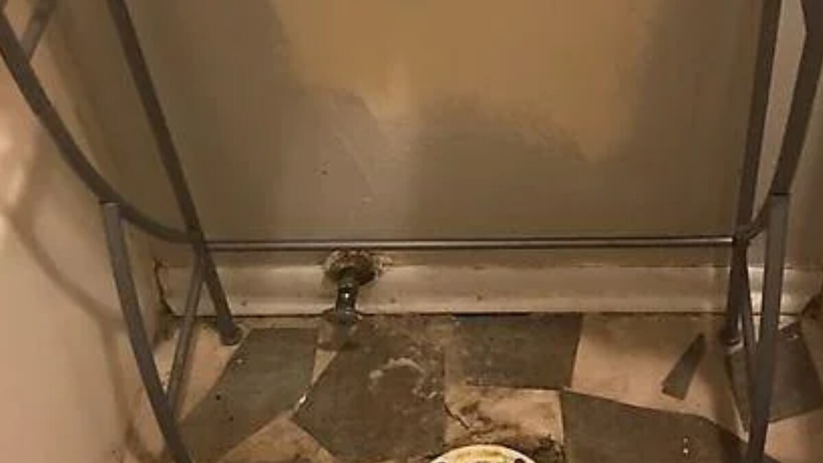 Woman In Shock As Plumber Ex-Boyfriend Steals Her Toilet Post Breakup - Vimarsana News