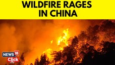 Forest Fire in Chinas Sichuan Continues to Spread Due To Wind Speed