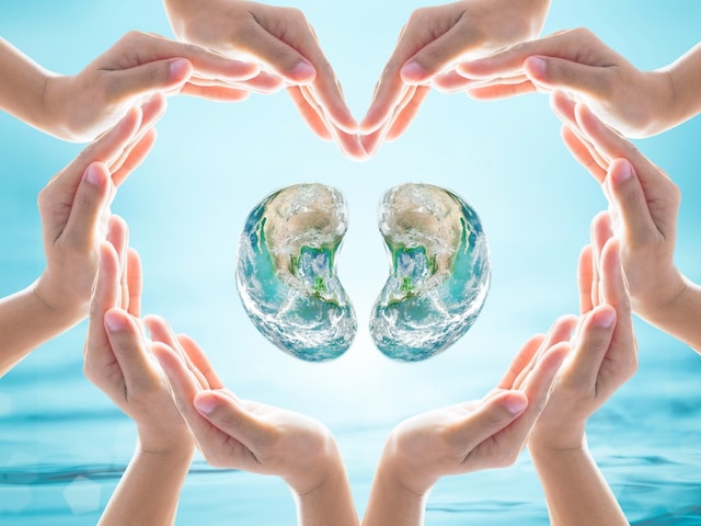 World Kidney Day is being celebrated today on March 14, 2024. (Image: Shutterstock)
