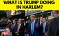 Defendant Trump Heads to Harlem to Rail Against Crime, and Alvin Bragg | English News | N18V