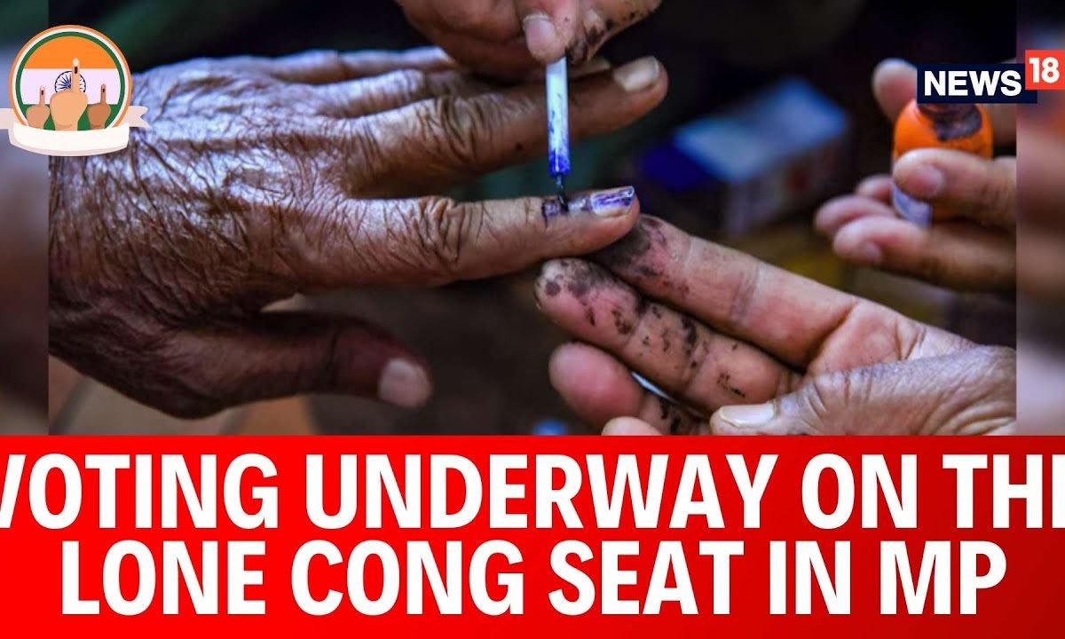 Chhindwara: Vote casting Underway On The Lone Congress Seat In Madhya Pradesh | English Information | News18 – News18