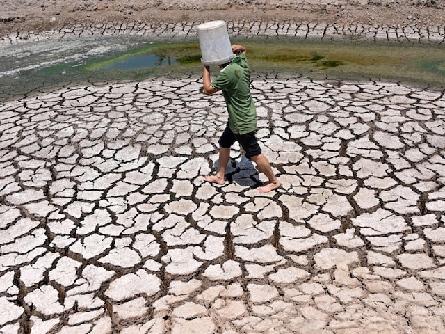 A man carries a plastic bucket across the cracked bed of a dried-up pond in Vietnam's southern Ben Tre province. (Image: AFP)