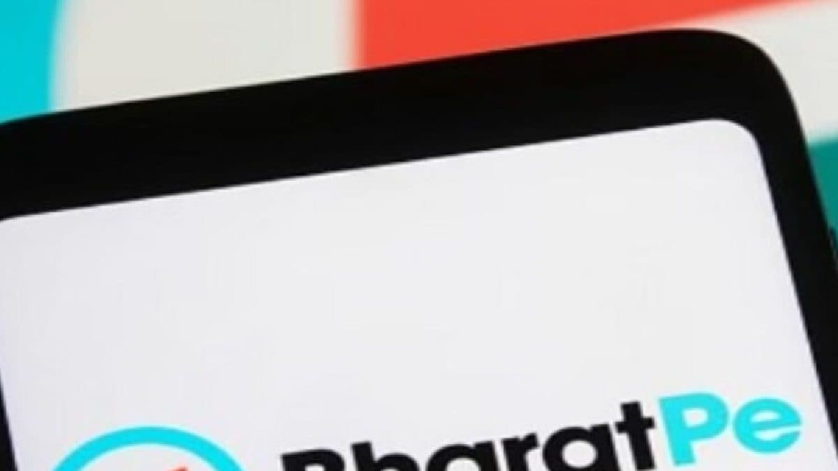 BharatPe Rejigs Senior Management In Payment, Lending Unit Verticals – News18 BharatPe Rejigs Senior Management In Payment, Lending Unit Verticals – News18