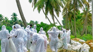 Kerala Bird Flu Outbreak: What Is H5N1? All You Need To Know About Symptoms & Precautionary Measures - Vimarsana News
