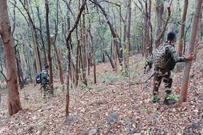 29 Maoists Killed in Massive Chhattisgarh Encounter; This Year's Toll in Bastar Rises to 79