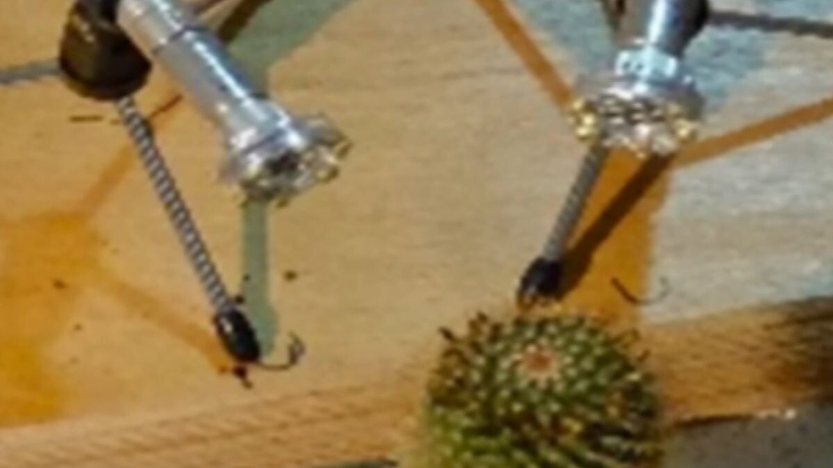 Do Plants Really Scream When Uprooted? This New Study Will Make You