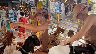 Jacqueline Fernandez Is A Bundle Of Sunshine As She Feeds Baby Goats In Her Vacay, Photos - Vimarsana News