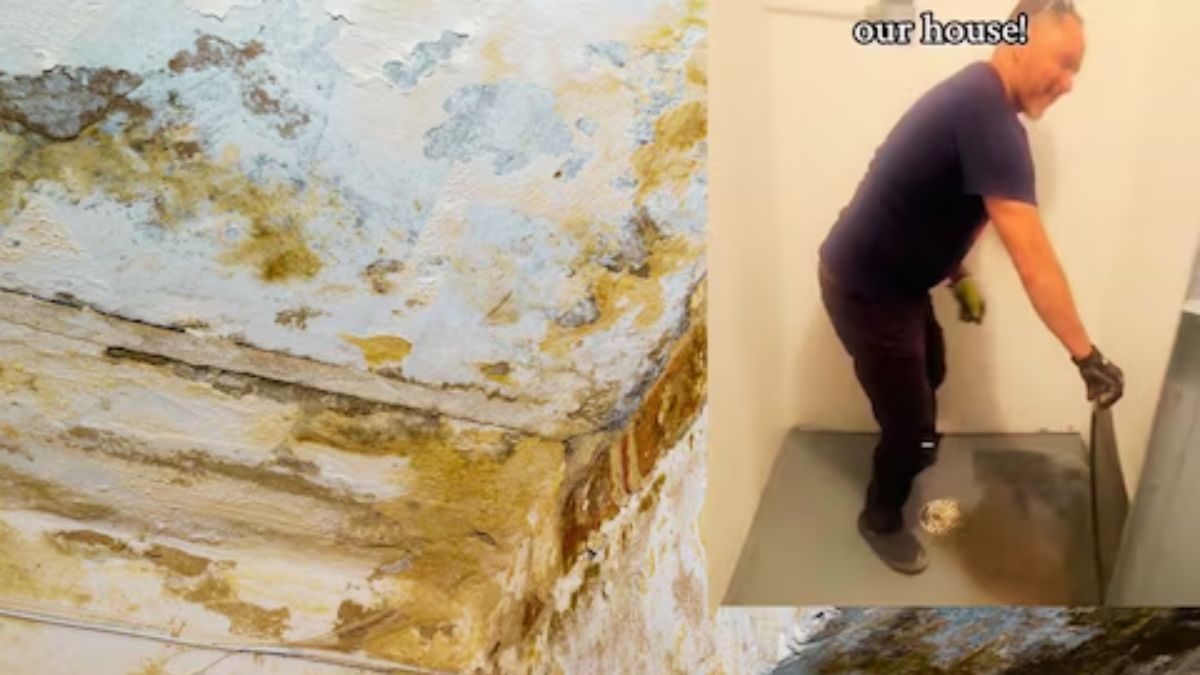 This Window to the Wall Was the Key to the Hidden Room Nobody Talks About