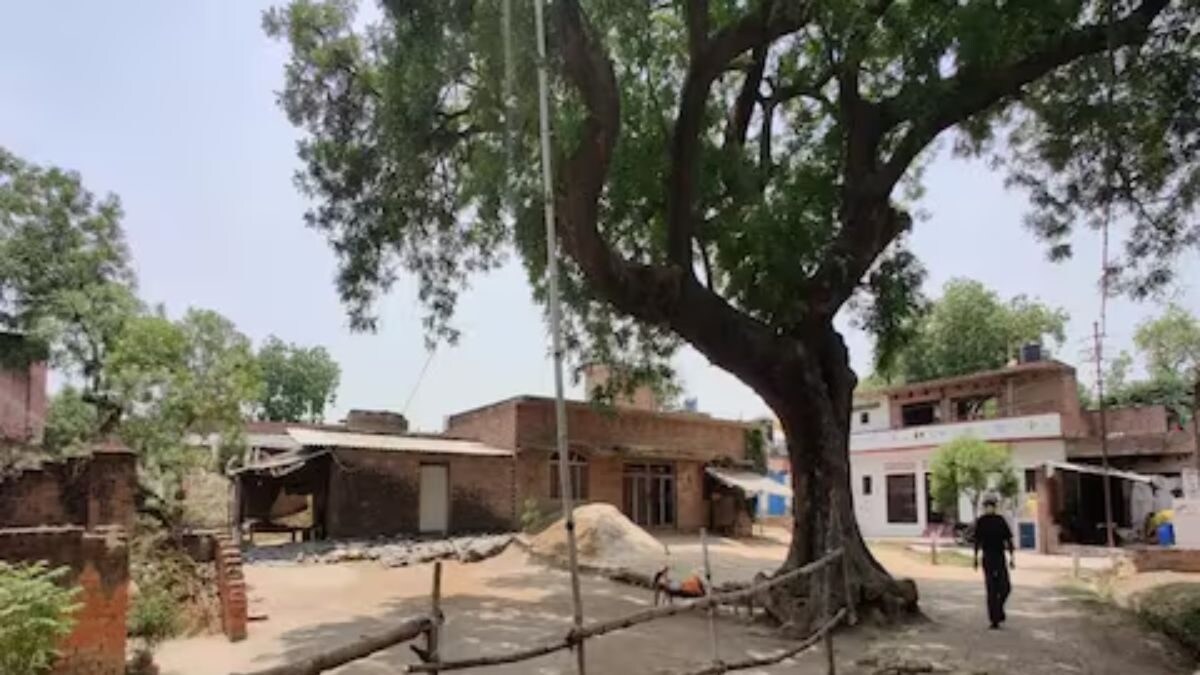 In Rajasthan's Dholpur, Residents Asked To Remain Indoors After Woman Spots Leopard - Vimarsana News
