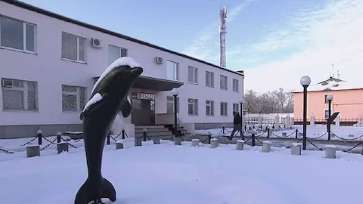 What Really Happens Inside Black Dolphin Prison