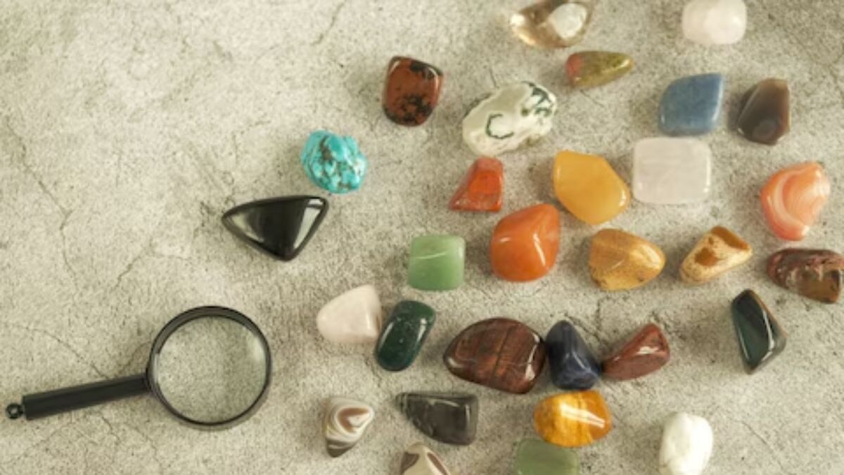 Genealogists Find Jawbone In Child's Rock Collection Belongs To Deceased US Marine Corps Captain - Vimarsana News