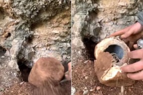 Watch: Man Digs Unique Stone, Breaks It To Find Gold Chains And Coins