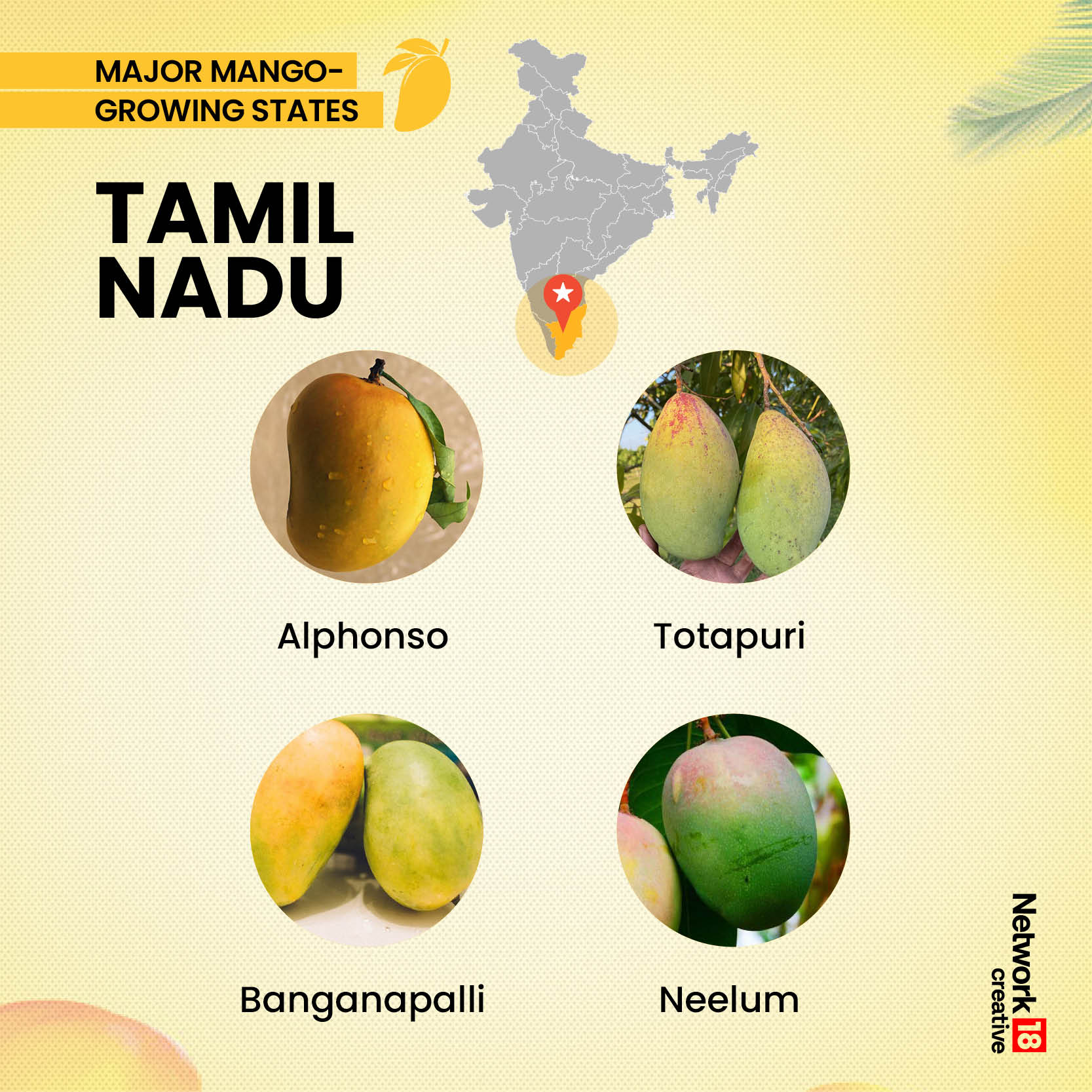 mango-commercial-varieties_mango-map_11-