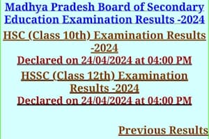 MBPSE MP Board Result 2024 LIVE: 64.49% Qualify MP Board 12th Exam, 58.10% Clear 10th