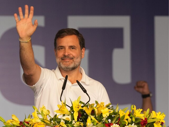 Rahul Gandhi has invested in these 10 stocks, 5 mutual funds
