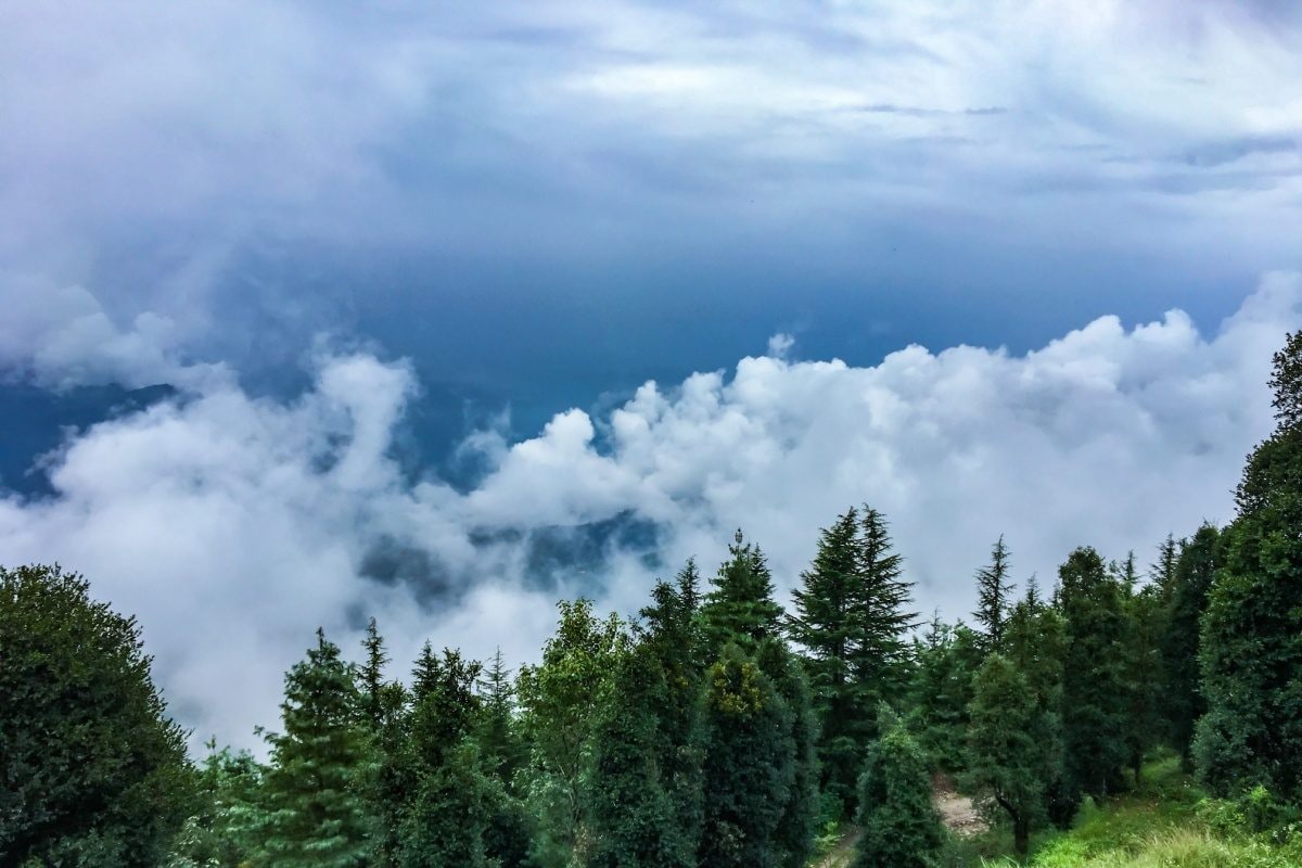 Best Places In Himachal To Escape the Summer Heat: Rakchham, Rashil, Chitkul & Mashobra