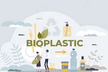 Hemp-Based Bioplastics: The Promise and Potential in Sustainable Packaging