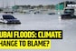 Dubai Floods: Climate Change To Blame?